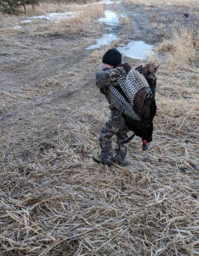 Levi Budke packing a big cobbler out on his back,  Shot it with a 12 gauge 20 yards away.