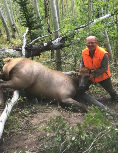 Brad Jorgenson got this nice cow Elk while hunting the muzzle loader season deep in the Rocky Mountain Colorado 2018