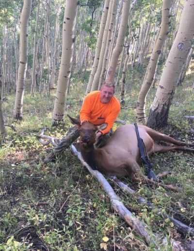 Chad Kugler shot this huge cow elk with his 50 cal. muzzle loader in the Rocky Mountain Colorado 2018