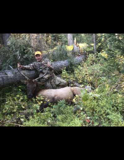 Cory Budke called in this Bull Elk into 50 yards and sent a 50 caliber thru the boiler room . Rock Mountains Colorado . Muzzle loader season 2018